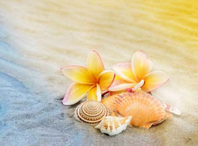 ハワイ散骨イメージ3