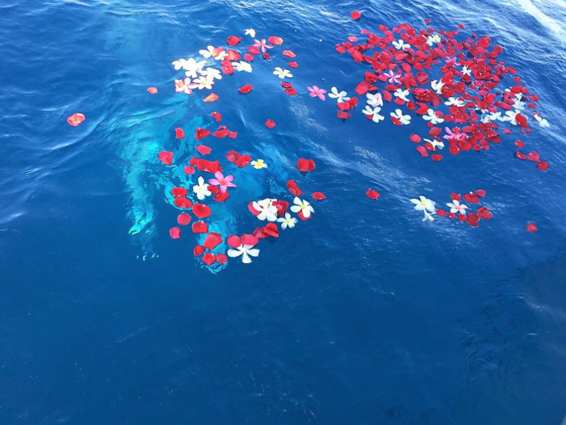 ハワイ・ワイキキ沖の海洋散骨イメージ4